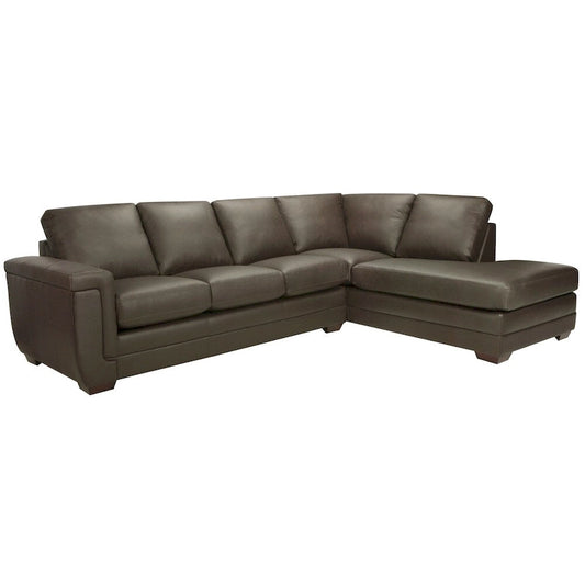 Porsche Top-grain Italian Leather Sectional Sofa - 36.5 x 116 x 37