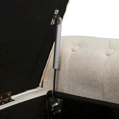 COZYMAN Modern Velvet Upholstered Storage Bench with Silver Nailhead Trim